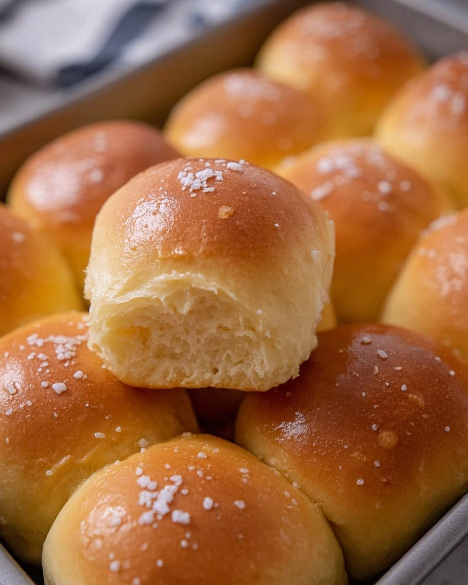 Buttery Soft Dinner Rolls That Are Perfect for the Holidays 100 Buttery Soft Dinner Rolls That Are Perfect for the Holidays